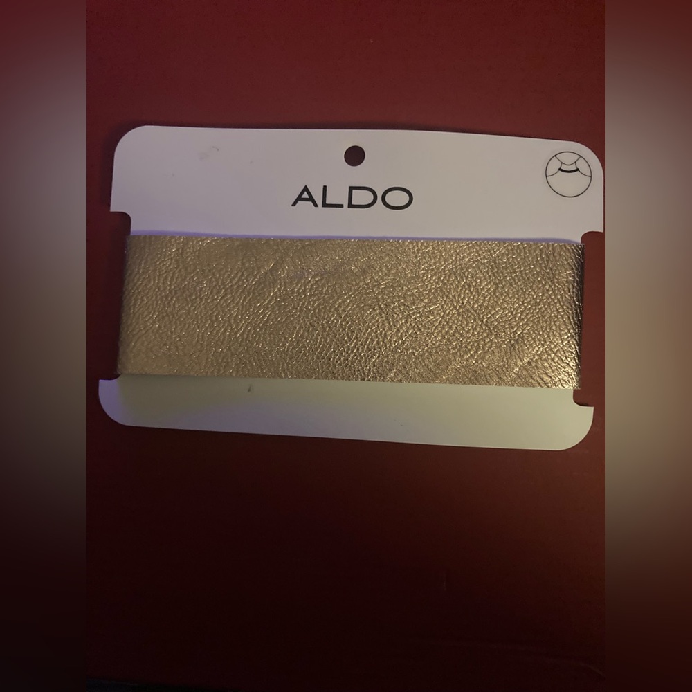 ALDO Metallic Women's Choker necklace